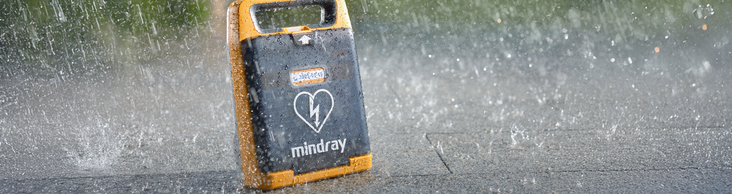 Kopfbilder Mindray BeneHeart C2