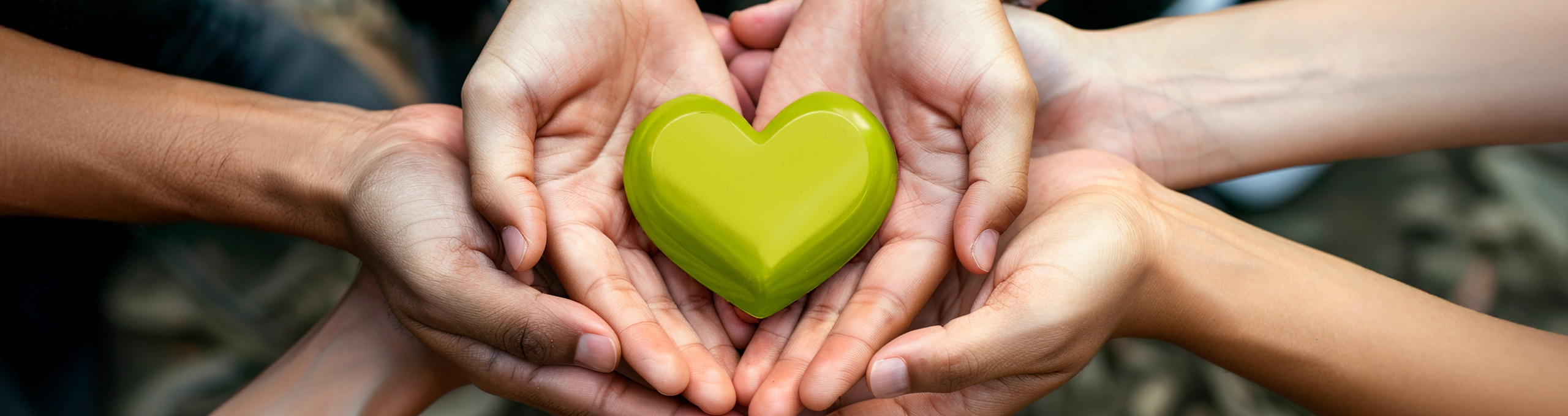 Kopfslider Über uns