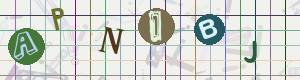 Captcha-Code - Es besteht die Möglichkeit, sich den Captcha-Code vorlesen zu lassen, klicken sie dazu auf den Button mit dem Titel 'Liest den Captcha-Code vor(Audioausgabe)'